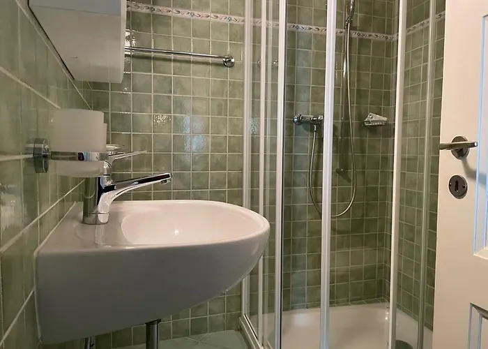 Ascona: Nostrana Apt. 1 公寓 *